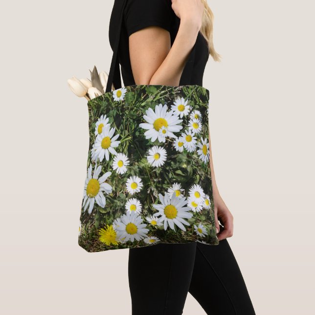 Marguerites blanches en herbe sur tout le Sac four (De près)