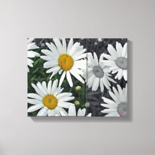 Marguerites de TOILE