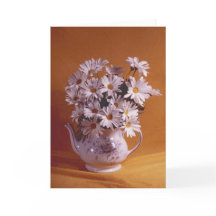 Marguerites En Teapot Toutes les cartes d'occasion
