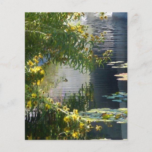 Marguerites sur étang (Devant)
