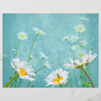 Marguerites sur fond bleu