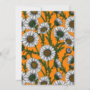 Marguerites sur orange