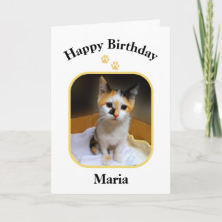 Maria Calico Kitten Bonne carte d'anniversaire