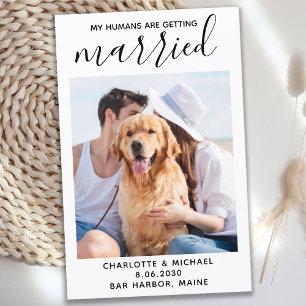 Mariage de chien photo pour animaux de compagnie M