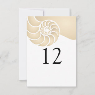 Mariage de plage coquille de nautile beige