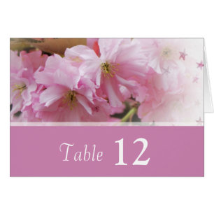 mariage en fleur de cerisier rose, numéro de table