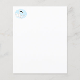Mariage et autres types de programmes : Swan