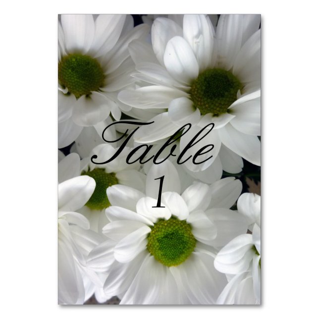Mariage Numéro de la carte Fleur marguerite blanch (Dos)