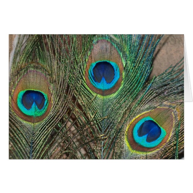 Mariage Peacock Feather (Devant horizontal)