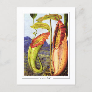 Marianne Nord #1 - Carte postale Art