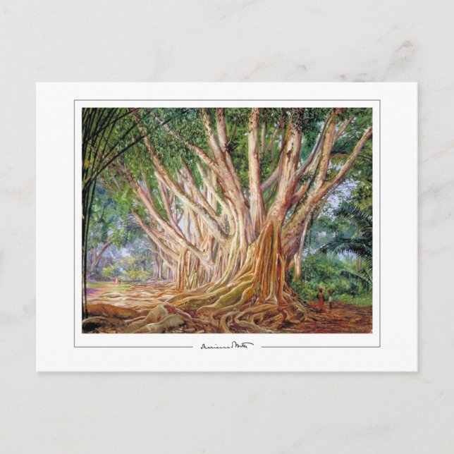 Marianne North #5 - Carte postale d'art (Devant)