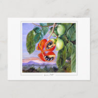 Marianne North #9 - Carte postale d'art