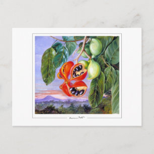 Marianne North #9 - Carte postale d'art