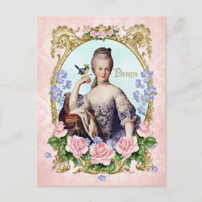 Marie Antoinette rose Damask Antonia Rose Carte po (Devant)
