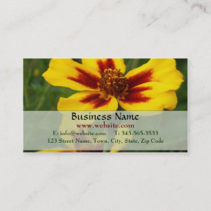 Marigold Carte de visite