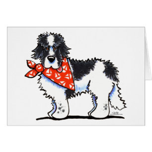 Marin de Landeer Newfie