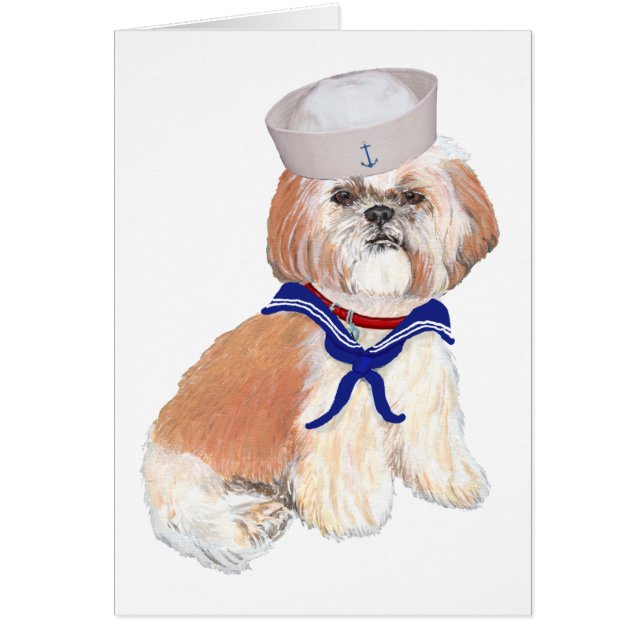 Marin Shih Tzu (Devant)