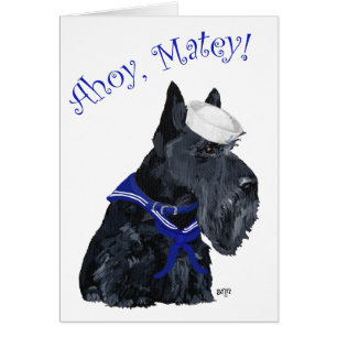 Marin Terrier Écossais