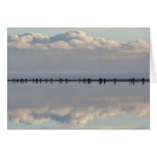 Marina de Kirby-Ouest