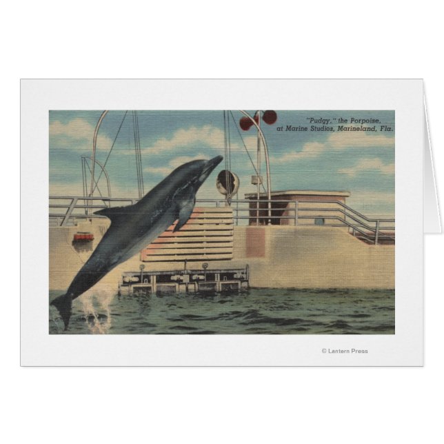 Marineland, Floride - Vue de Pudgy le (Devant horizontal)