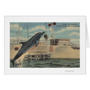 Marineland, la Floride - vue de dodu