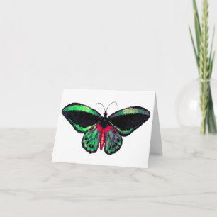 Mariposa ~ Carte / Invitations