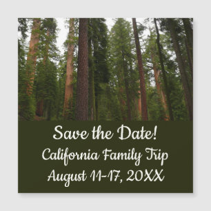 Mariposa Grove dans le parc national de Yosemite