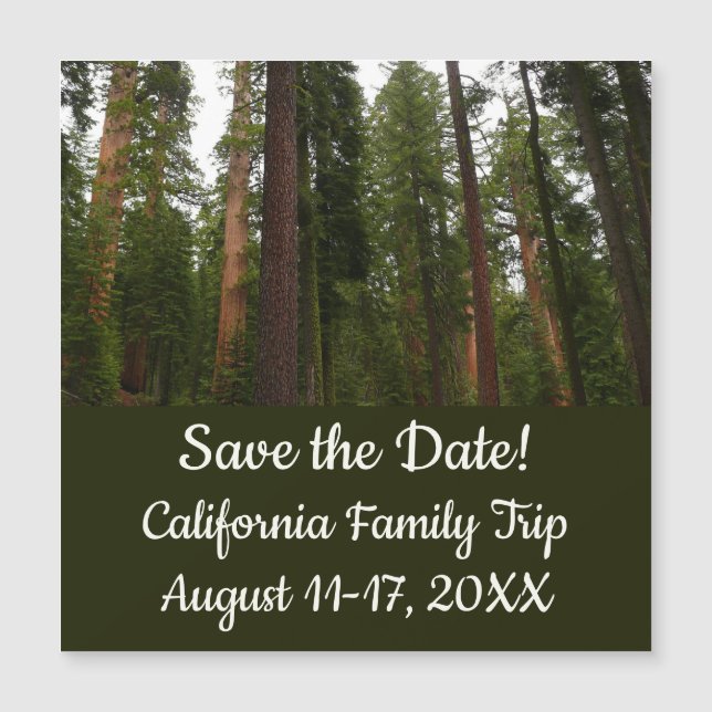 Mariposa Grove dans le parc national de Yosemite (Devant)