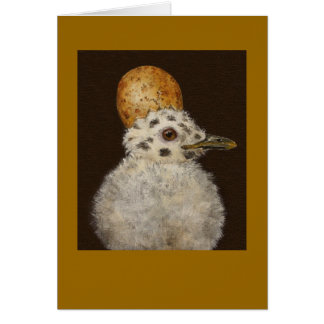 Marley la carte de mouette de bébé