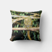 Marmoset Singe Assis À Branche, Coussin