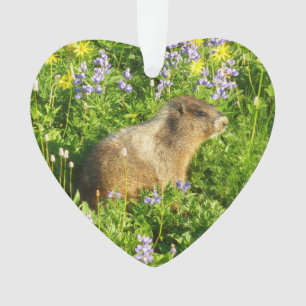 Marmot dans le Mont Rainier Fleurs sauvages