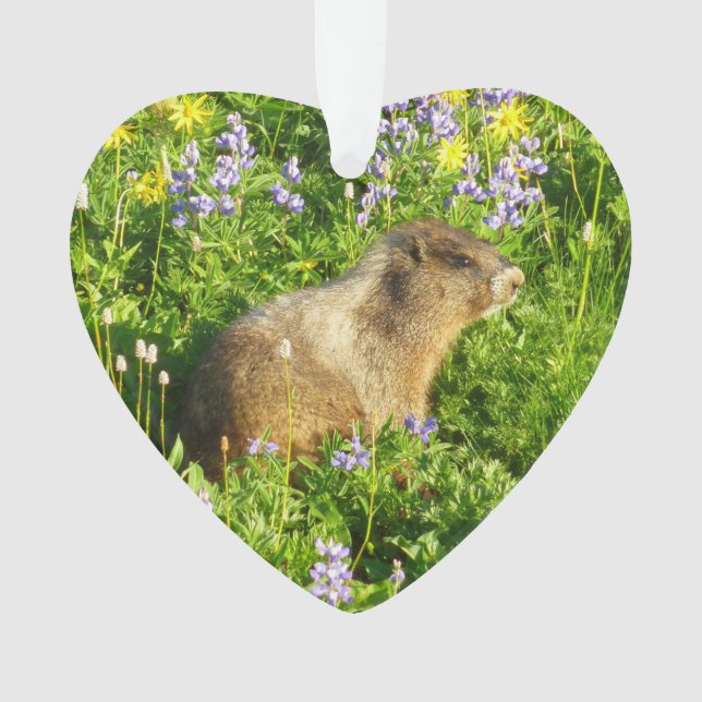 Marmot dans le Mont Rainier Fleurs sauvages (devant)