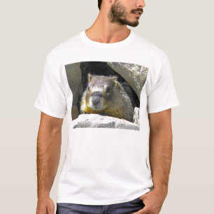 Marmot dans le T-shirt de repaire de roche