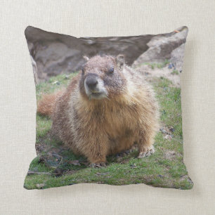 Marmot de Palouse tombe coussin de parc d'état