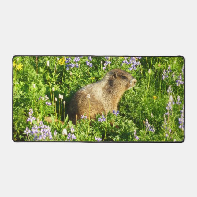 Marmotte dans les fleurs sauvages du mont Rainier (Recto)