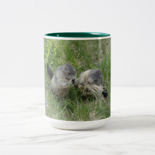 Marmottes tasses - choisir style & couleur