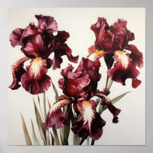 Maroon Irises Flower Art Imprimer Poster