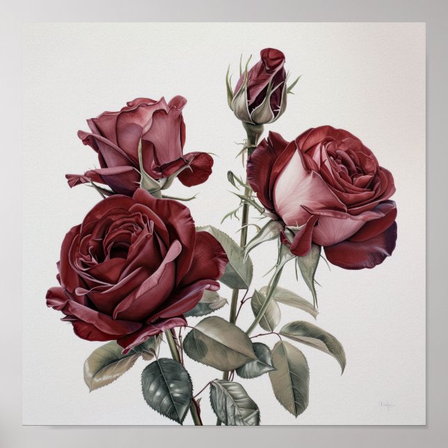 Maroon Rose Flower Art Imprimer Poster (Devant)