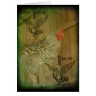 Marque Barred Rock Rooster