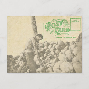 Marque de noix de coco - Carte postale Singapour V