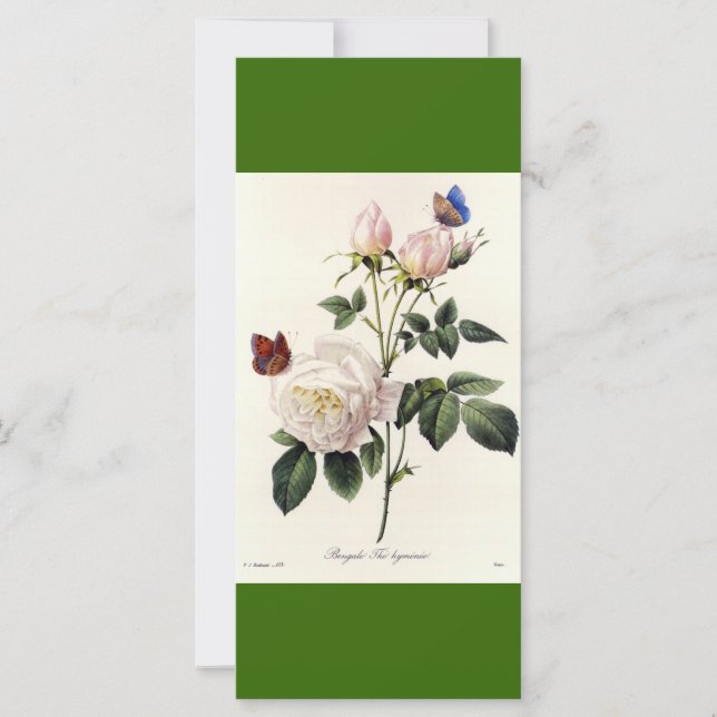Marque-page fleurs de rose blanche art botanique v (Devant)