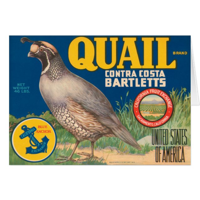 Marque Quail Contra Costa Bartletts (Devant horizontal)