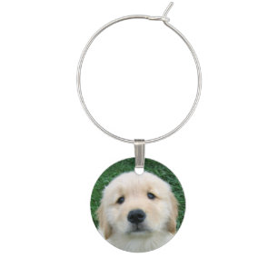 Marque-verres Chiot mignon de golden retriever