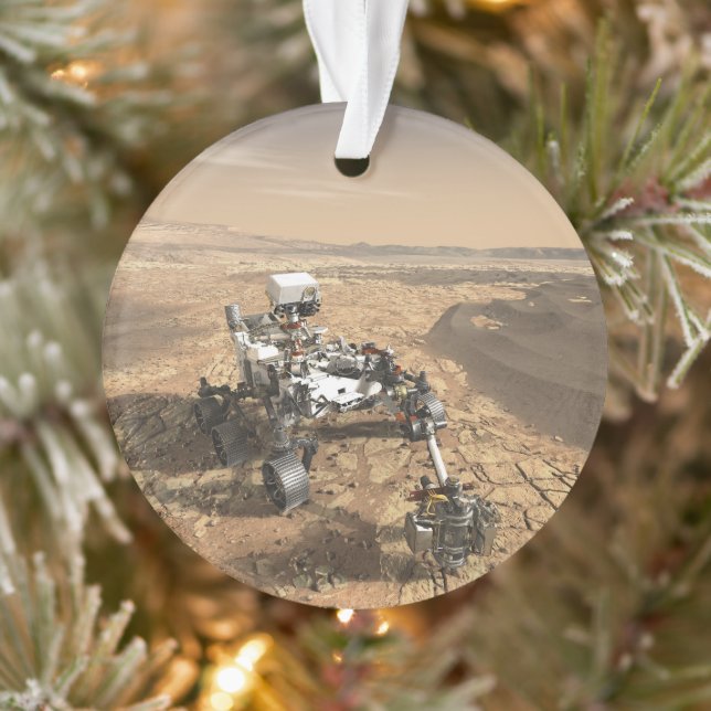 Mars 2020 Rover Sur La Surface De Mars. (Arbre)