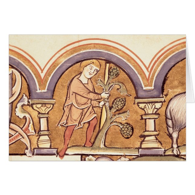 Mars : Greffe des arbres (Devant horizontal)