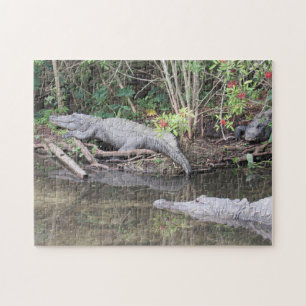 Marsh Gators - Alligator américain Jigsaw Puzzle
