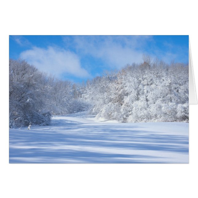 Marthaler Park Snowy Hills (Devant Horizontal)