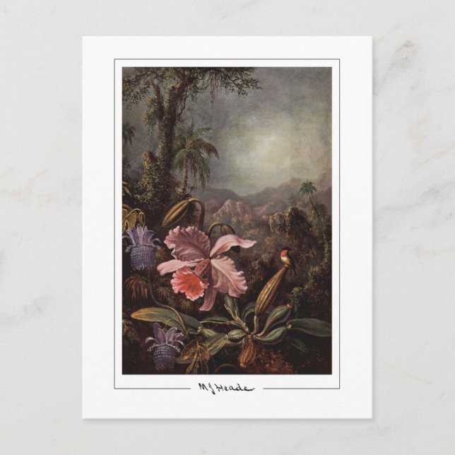 Martin Johnson Heade #202 - Carte postale Art (Devant)
