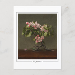 Martin Johnson Heade #26 - Carte postale Art