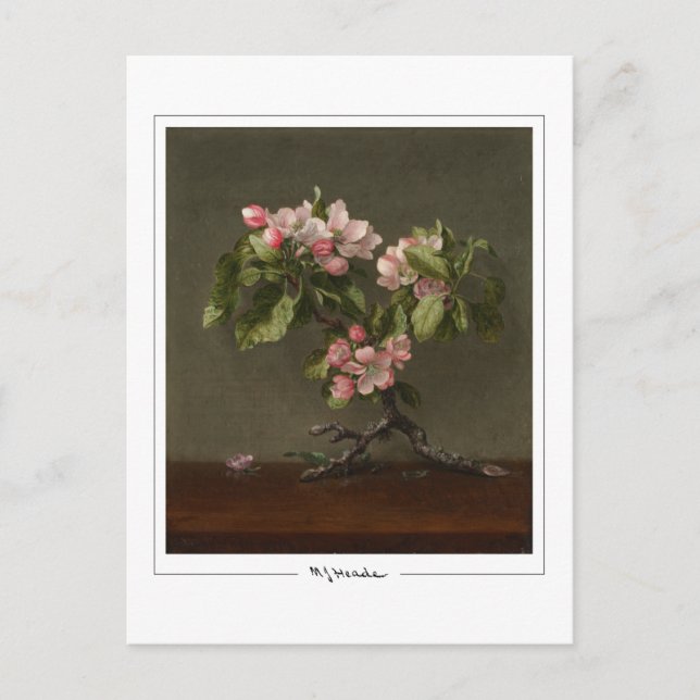 Martin Johnson Heade #26 - Carte postale d'art fin (Devant)